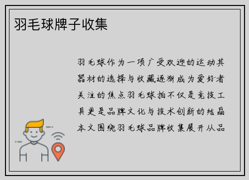 羽毛球牌子收集