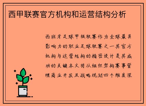 西甲联赛官方机构和运营结构分析